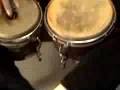 King of Bongos