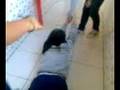 A-Fuga-Bruna-Luuh-e-
