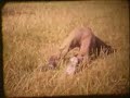 Wirral Past 1940 - 1950s - Part 1 of 5