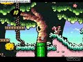 Unlimited Lives in Yoshi\