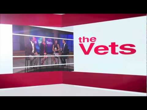 The Vets™ Teaser