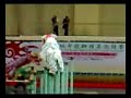 kwong-ngai-lion-dance-2008-macau-champion.html