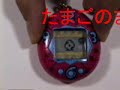 初代たまごっちの裏技満載のビデオです。１９９６年頃に撮影されました。by funahttp://ftvjapan.ddo.jp/