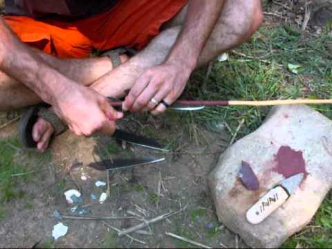 how to harvest willow bark