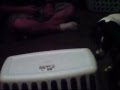 videos de scooby went nuts!!!!!.wmv