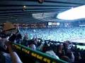 Hibs Fans sing Sunshine on Leith