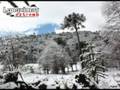 LONQUIMAY EXTREMO - MALALCAHUELLO - CURACAUTIN - IX REGION