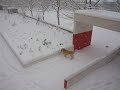 neige a velaux le 7/01/09