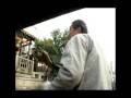 videos de Professional Tourist Guide in Su Zhou 2