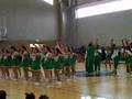 tekos 2008