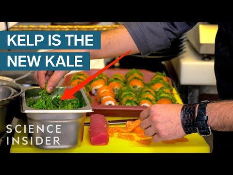 Why Kelp Could Replace Kale
