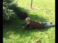 Bande annonce REPRESAILLES Bande annonce REPRESAILLES