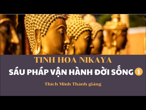 Tinh Hoa NIKAYA - Sáu Pháp Vận Hành Đời Sống 1