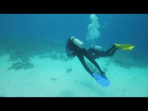 Red Sea Diving Safari Egypte 2019