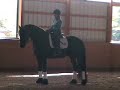 S.1  STEFFEN PETERS AND JANET BROWN-FOY  (OVERVIEW)