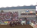 Wild Child Jumps Team of Horses