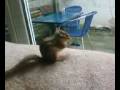 videos de VID024