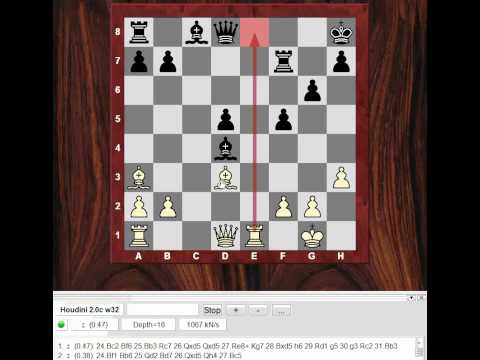 chess knight
