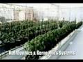 GTG Hydroponics~Underhill, VT