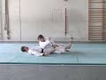 goshindo-traditionnel-marjorie-widlak.html