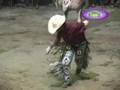 videos de LOS DESTRUCTORES EN TENEXTEPANGO,MOR
