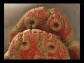 Bakery Legal IV