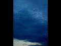Pictures taken from my window...