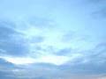 Pictures taken from my window...