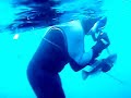 spearfishing-bluecod-knife-kill-wellington-nz.html