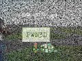 EG5 Video