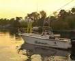 How to throw a Cast Net