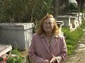 Cimetiere juif de Tunis