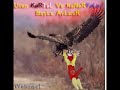 fenerbahce webinsel antigs antifb anti super goller cimbom