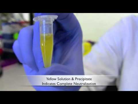 how to isolate plasmid dna from e coli