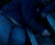 can u guess this loughor pisshead
