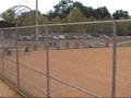 Second Wednesday, McIntire Park, Women's League