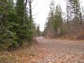 2 brits racing,subaru,rally