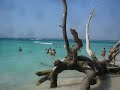 Playa Blanca de Baru - Cartagena