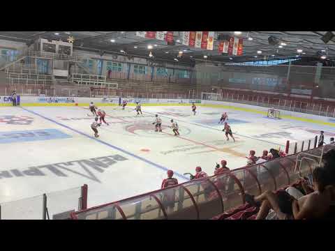 Slalom like fish and shoot