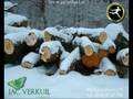 Reclame Kerst Jac. Verkuil Bloemsierkunst