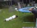 Idiots getting Hurt