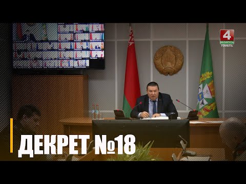 В Гомельском облисполкоме в режиме видеоконференции провели заседание Гомельского областного координационного совета видео