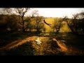Aerial Mountain Biking