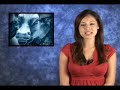 QualityStocks Daily Video 10/01/2007 QualityStocks Daily Video 10/01/2007