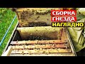 Видео - Сборка гнезда пчел ОКТЯБРЬ В ЗИМУ ПОДРОБНО. НАГЛЯДНО.