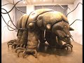 Water bear (music by ekoostik hookah)