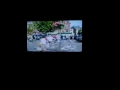 Sint Truiden - Geel riot
