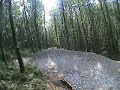 Raven Trail @ Brechfa Raven Trail @ Brechfa