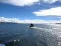 This video shows the bus journey between Arequipa in Peru and Puno, on the shores of Lake Titicaca. In it we quickly tour some of the streets of Puno before taking a boat to the floating islands on Lake Titicaca, and Taquile island. Back on dry land, we drive along the shores of the lake to the ancient ruins of Sillustani.