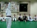 brown karate belt test   the belt the diploma and the short